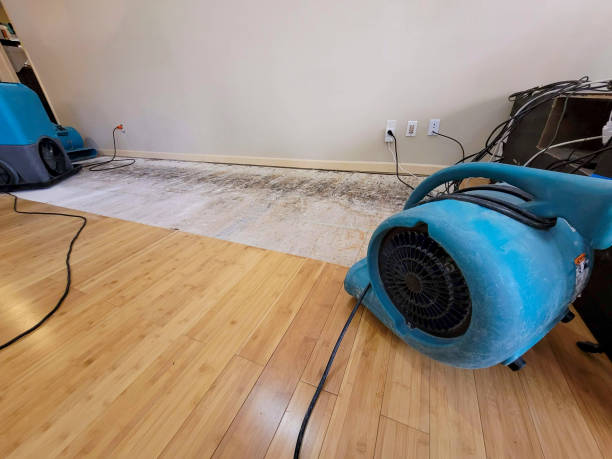 Professional Basement Flood Cleanup technician working in Ganado, TX